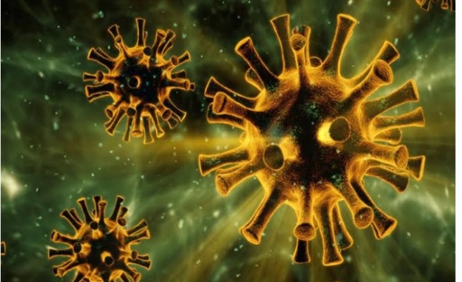 Çine'de bir kişi koronavirüse yenildi