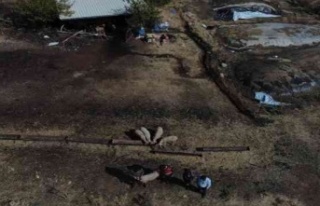 Karpuzlu’da kaybolan koyunlar drone ile bulundu