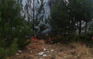Madran Dağı’nda orman yangını
