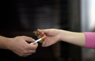Çine’de tek dal sigara satanlara ceza