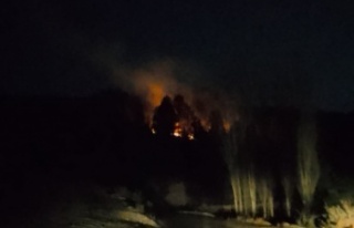 Tekir Yaylası’nda orman yangını başladı