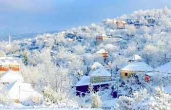 Kavşit Köyü'nün karlı fotoğrafı yoğun ilgi gördü