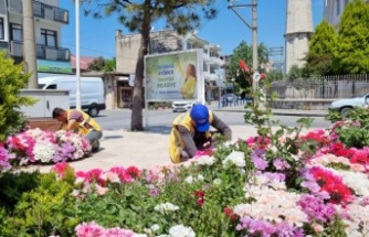 Aydın Büyükşehir Belediyesi Söke’de Yaza Hazırlık Çalışması Yapıyor