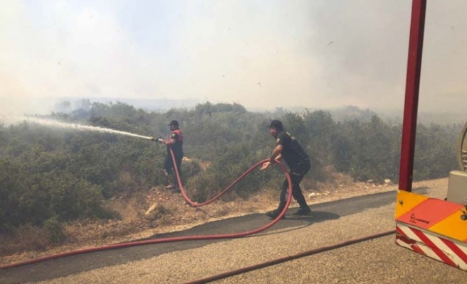 Aydın Büyükşehir Belediyesi İtfaiyesi Gün Boyu Yangınlarla Mücadele Etti