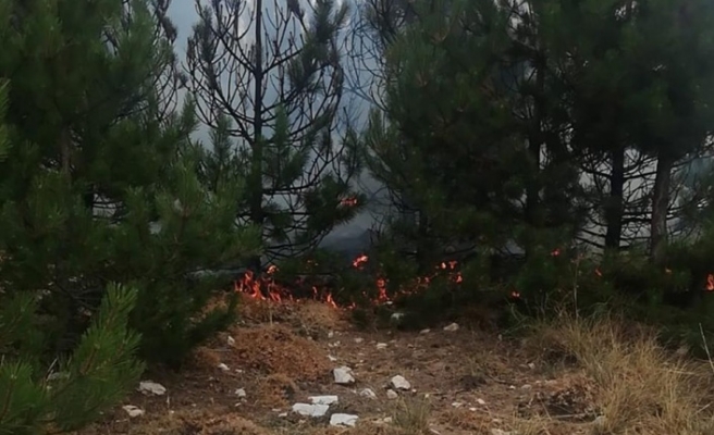 Madran Dağı’nda orman yangını