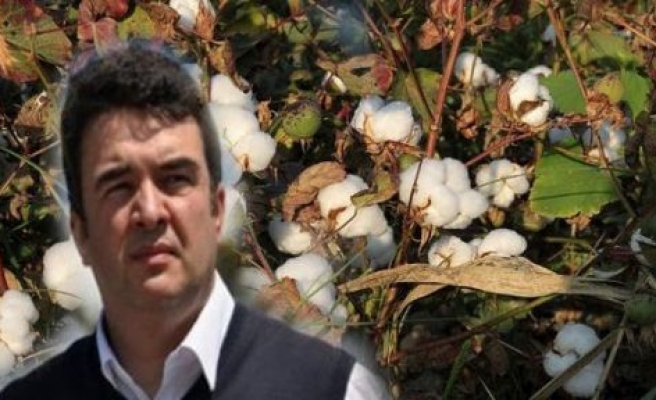 CHP'li Baydar Pamuk Üreticilerinin Sorunlarını Meclise Taşıdı
