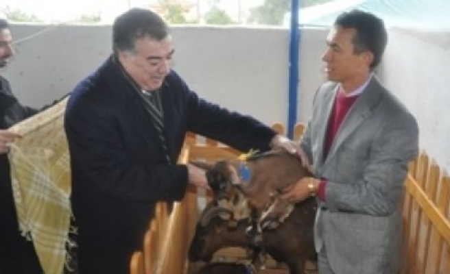 Vali ve Rektör Çineli Çobanları Sevindirdi 