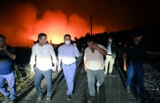 Vali Aksoy, Bozdoğan bölgesi yangınında incelemelerde...
