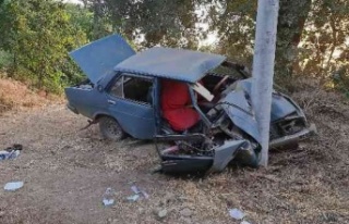 Çaldıkları araçla İzmir'de kaza yapan 15...