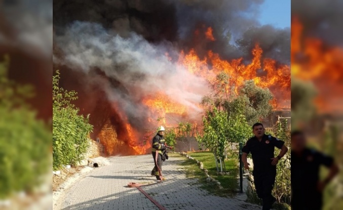 Aydın ve Muğla’da 819 hektar alan yandı